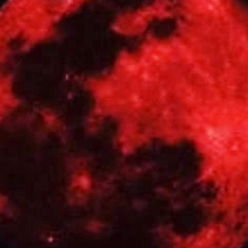 POWER UNRELEASED VERSION