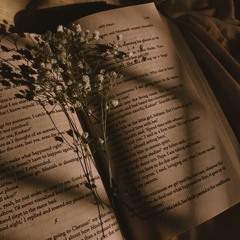 винтаж&hosy-роман 2.0 speed up