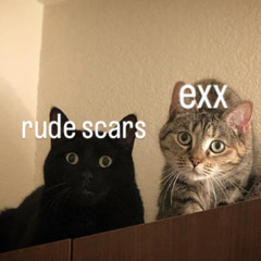 rude scars x exxtape- ChatGPT how do i suicide pact with someone and how do i become happy again?