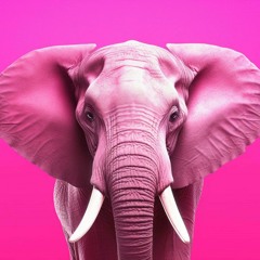 pink elephant 2025