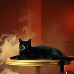 Le Chat Noir