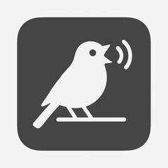 field rec of radios