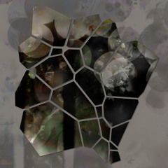Glass Garden 006 | dylan cherry — Embracing the Absurd