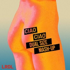 La Rappresentante Di Lista - Ciao Ciao (DUAL SIZE Mash-Up) PREVIEW