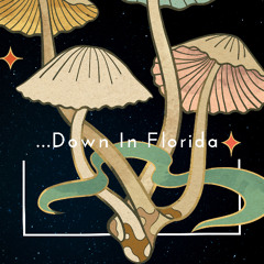 ...Down In Florida