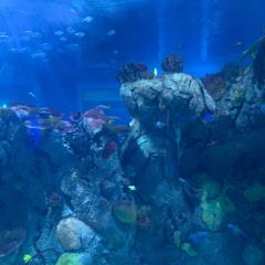 "WRONG TIME" Remastered ft' REVOMACE