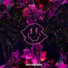 Asparagus - LST