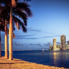CITY WAVES