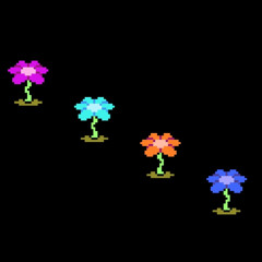 By Courtesy of the Flower King...