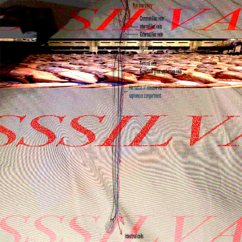 sssilva - soul terror mist