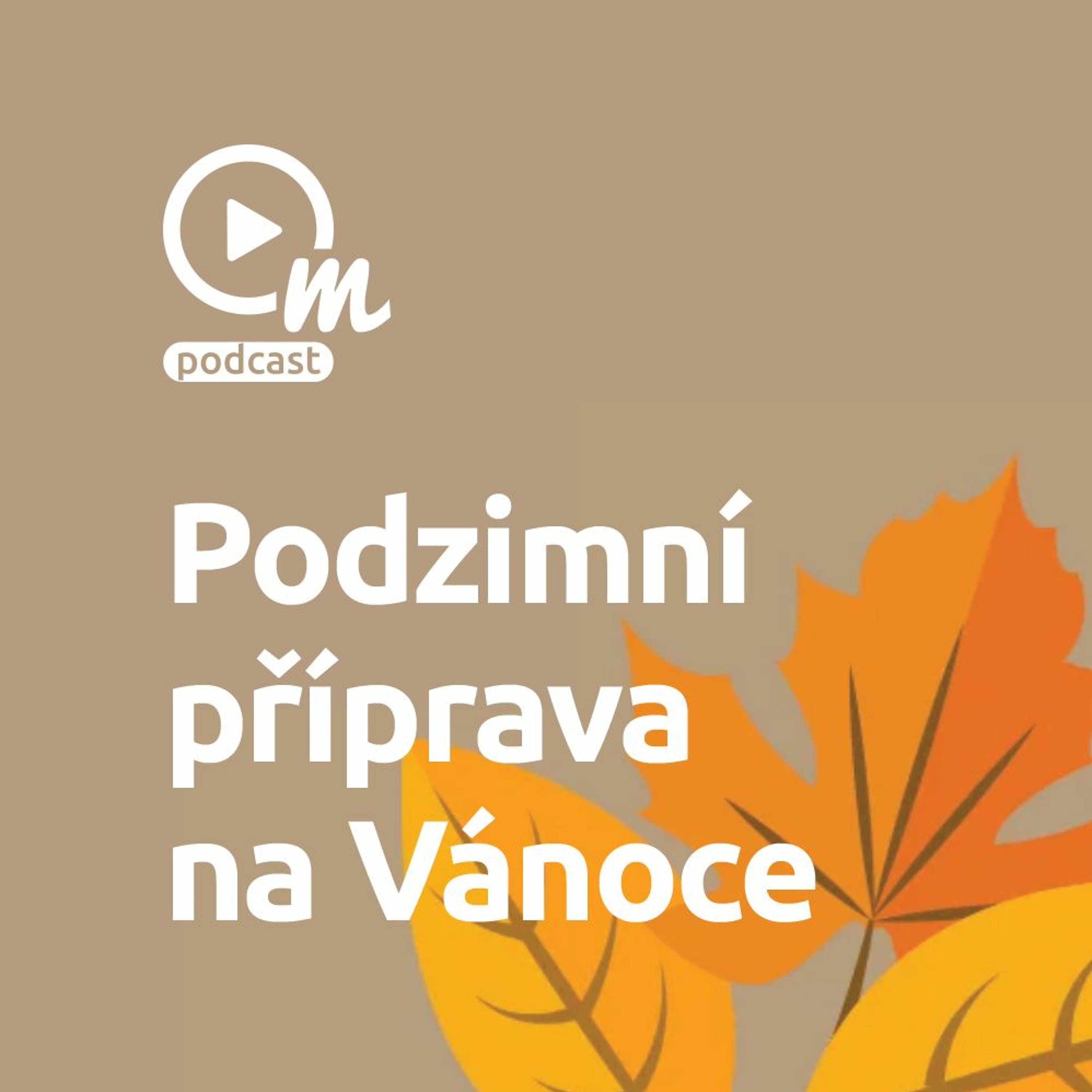 Špičkoví PPC specialisté na vánoční sezónu jsou už rozebráni episode artwork