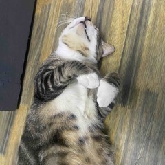 needorwant (quintuple)
