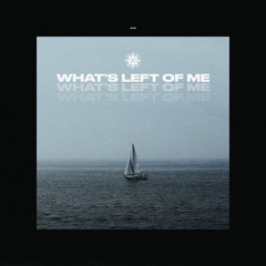 Lake Mosaic - What's Left Of Me