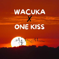 AVAION X CALVIN HARRIS - One Kiss x Wacuka [Mashup] (Free Download)