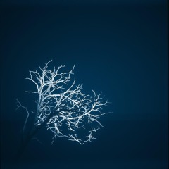 Midnight Mindstorm