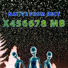 X456678 MB