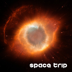 Space Trip