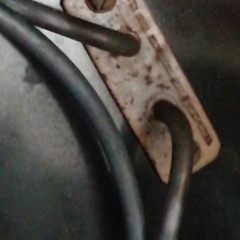 yeah, that's fungal mate