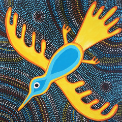 Humingbird (Unplugged)