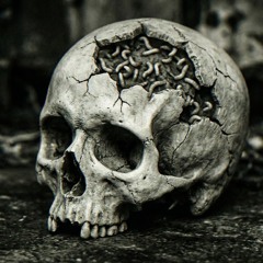 MAGGOTS IN THE BRAIN