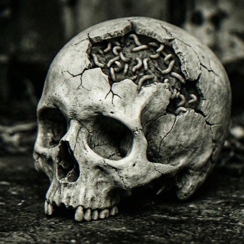 MAGGOTS IN THE BRAIN