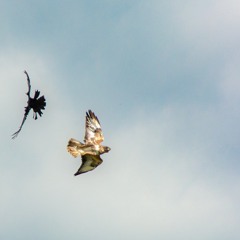 Ziggurats In The Sky