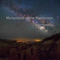 Microcosms Of The Macrocosm