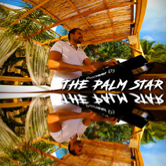 The Palm Star Ibiza Mix 11