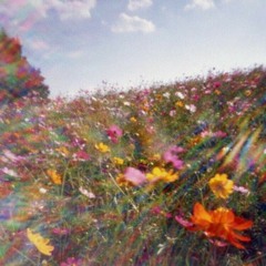 Summer breeze