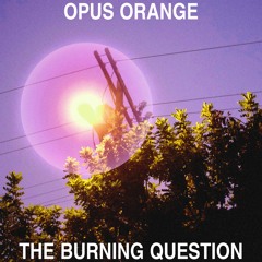 The Burning Question