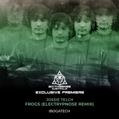 PREMIERE: Jossie Telch - Frogs (Electrypnose Remix) [IbogaTech]