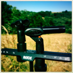 Marcelle à l'Oreille_Extraits audio