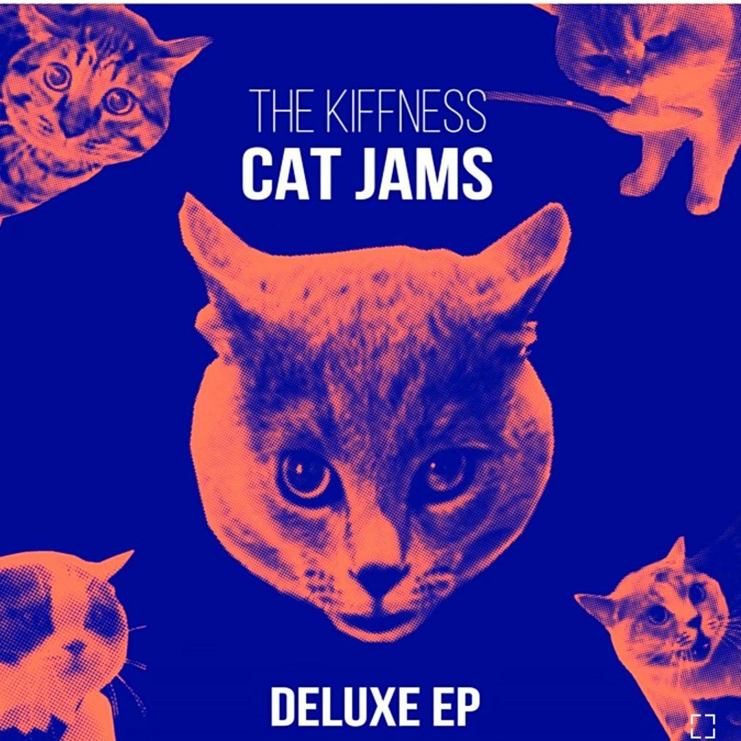 Включи cat jams. Включи cat jams