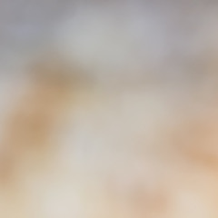 Condensation of life（2021/05)