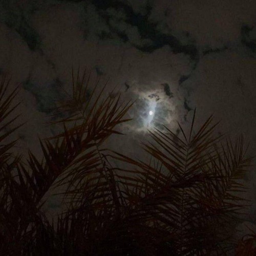 كذا فليجلّ الخَطْب وليفدح الأمرُ ♡