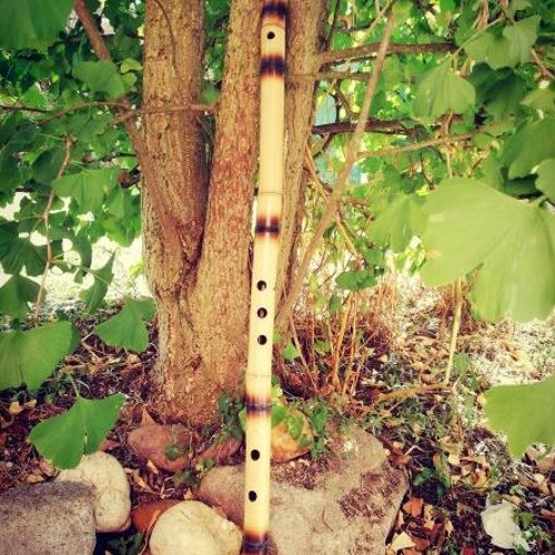 Whispers of the bamboo flute