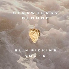 Slim Pickins Vol. 16