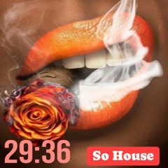 29:36