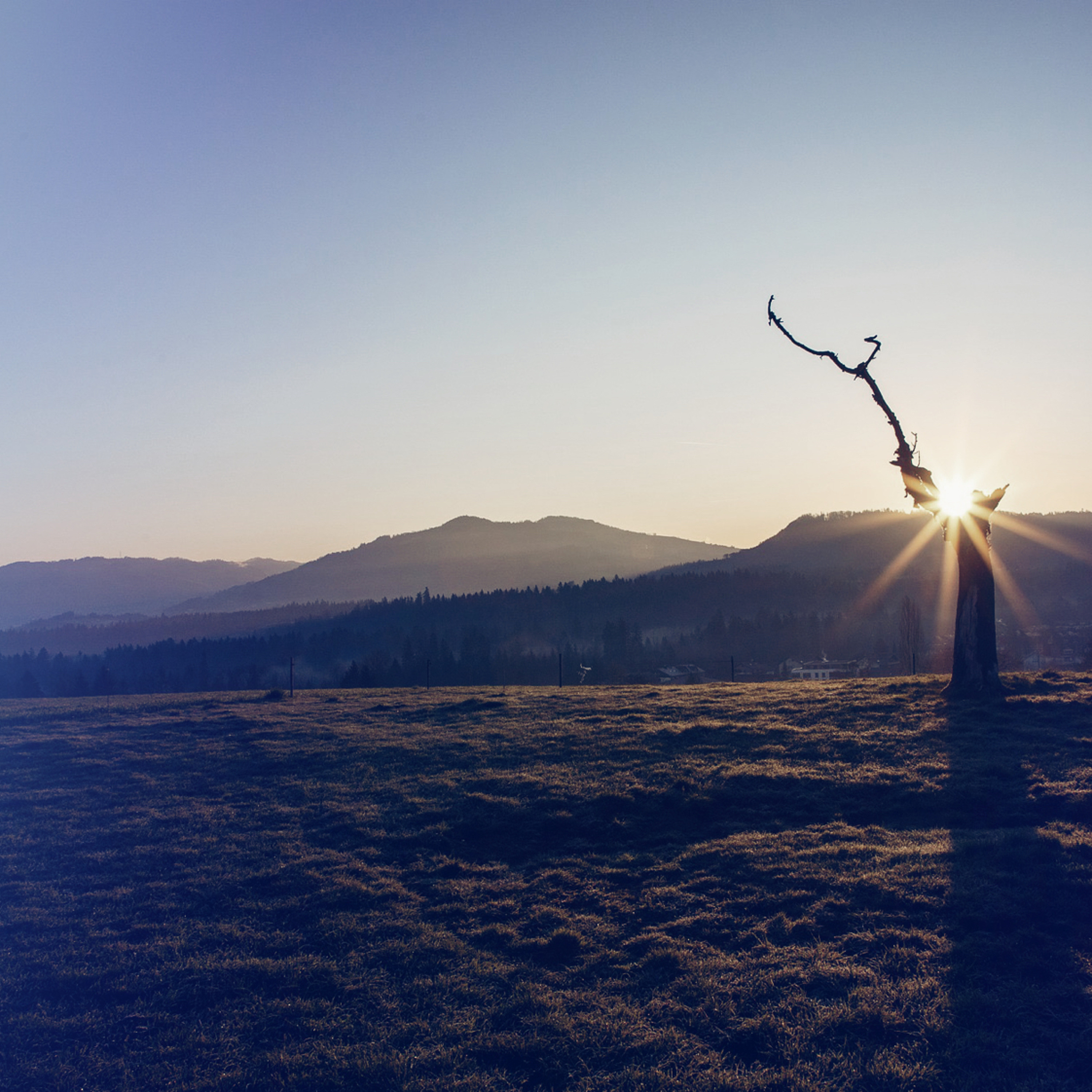 lili Lurid Settlement remix episode artwork