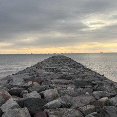 What’s ship??.DEMO（feat.Y-2face mugibo-）