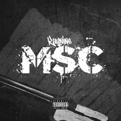 Msc