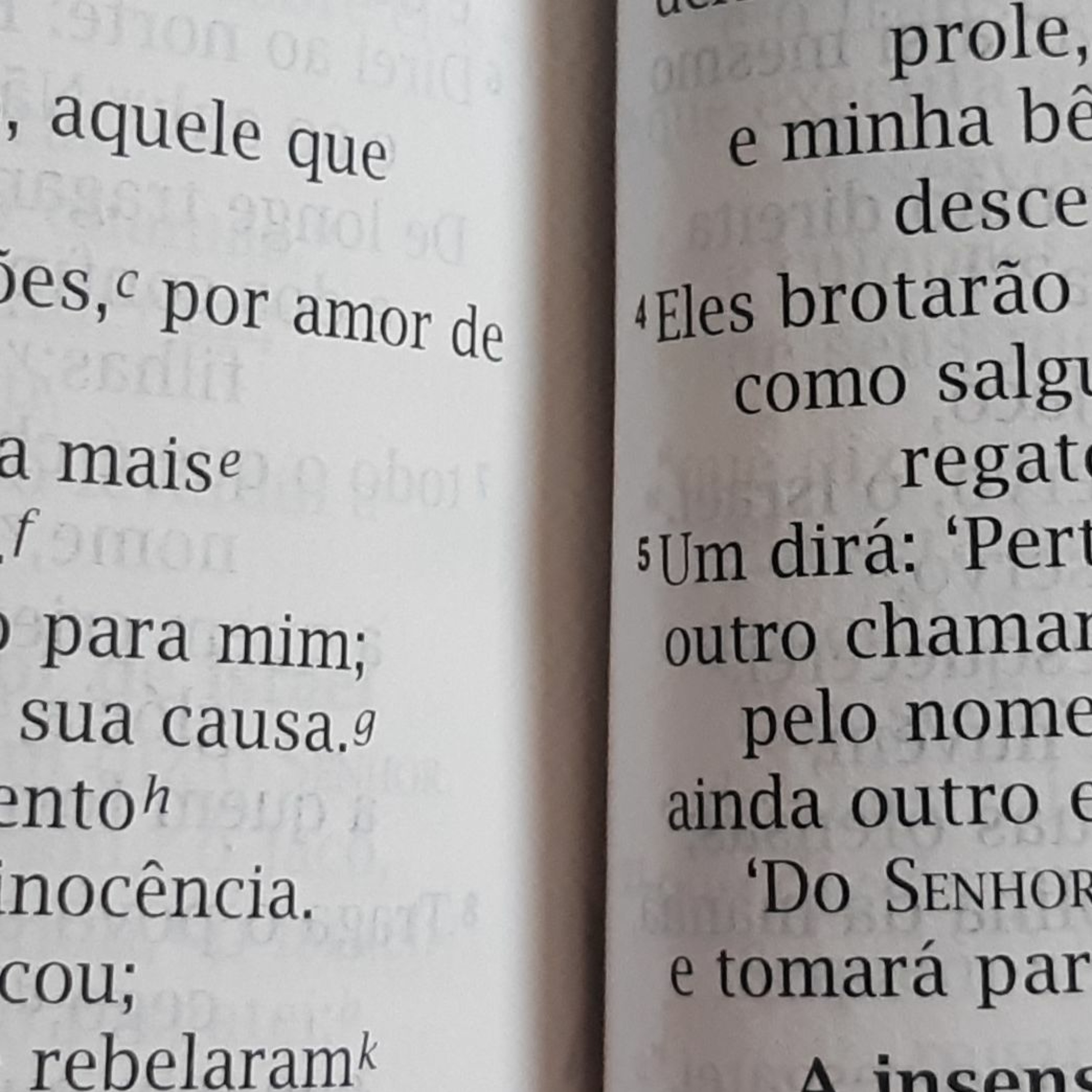 Espada de dois gumes