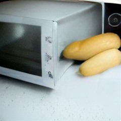 Microwave with a Sexy Penis