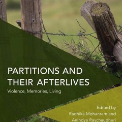 PDF✔read❤online Partitions and their Afterlives (Critical Perspectives on Theory, Culture and