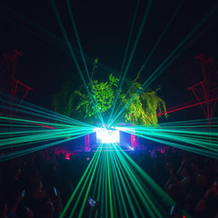 Bush doof set live