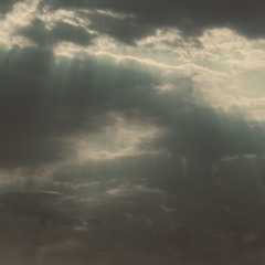 different (pledgge)