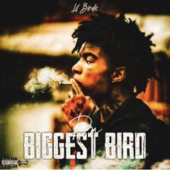 Spinning // Lil Birdie