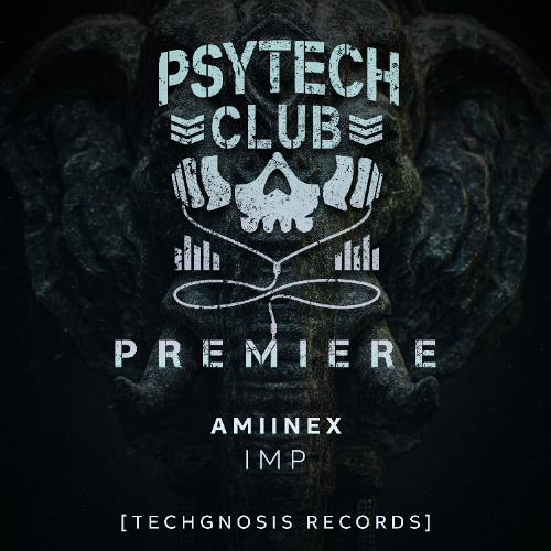 PREMIERE: Amiinex - Imp [Techgnosis Records]