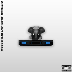 Elephant in the room