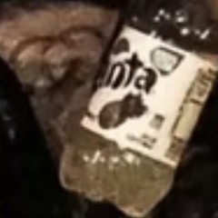 #🍯🐻🍯🐻